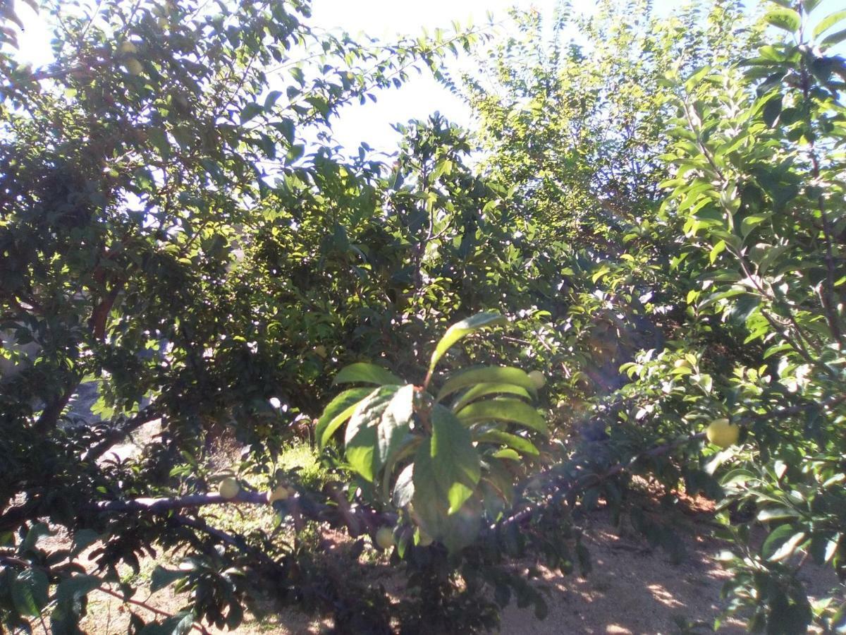 Casa De Los Abuelos Vilaflor de Chasna Esterno foto